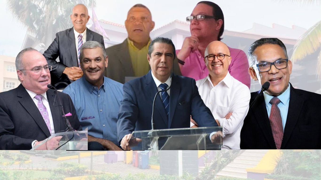 PLD valida ocho aspirantes presidenciales y aprueba consulta semiabierta para definir candidatura del 2028