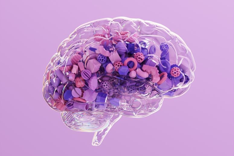 Ser juguetón, espontáneo y social hará que tu cerebro envejezca mejor