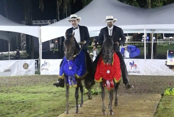 Sucesor, Victoria e Ilusión ganan Circuito Nacional Caballos Paso