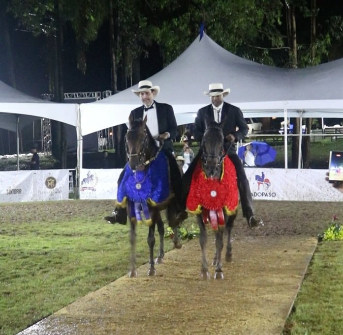 Sucesor, Victoria e Ilusión ganan Circuito Nacional Caballos Paso