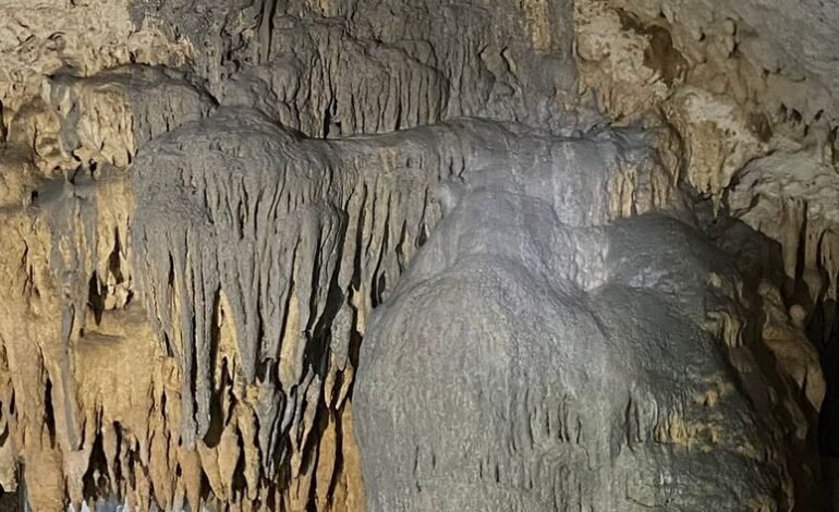 Suspensión definitiva del Tramo 5 del Tren Maya; activistas ambientales consiguen nueva orden judicial