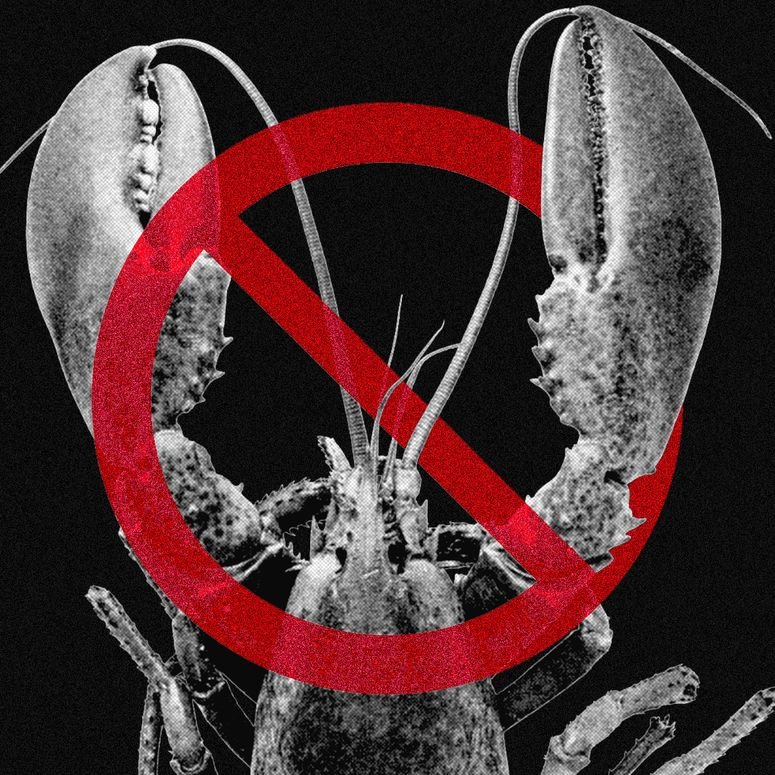 Zuckerberg finalmente declara en el juicio que busca decidir si sus redes sociales son adictivas por diseño