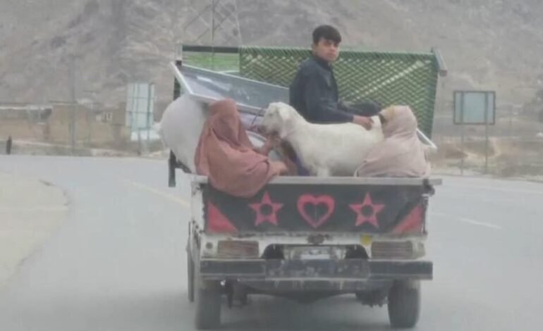 Al menos 42 civiles afganos han muerto en los enfrentamientos entre Islamabad y Kabul, según la ONU