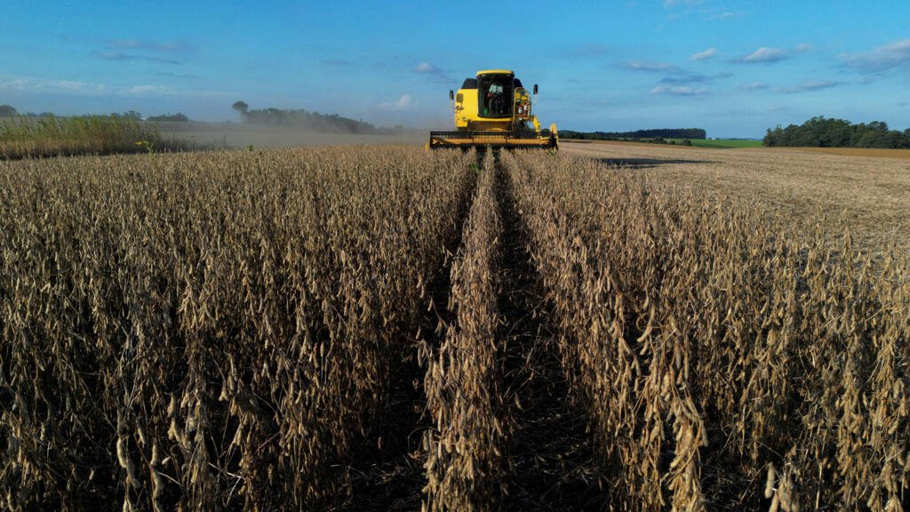 Brasil y Bolivia reactivan alianza bilateral con acuerdos en energía y seguridad