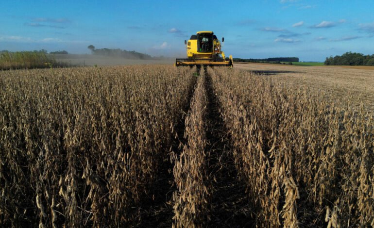 ¿Cómo impacta la guerra en Irán a los agricultores en Brasil?