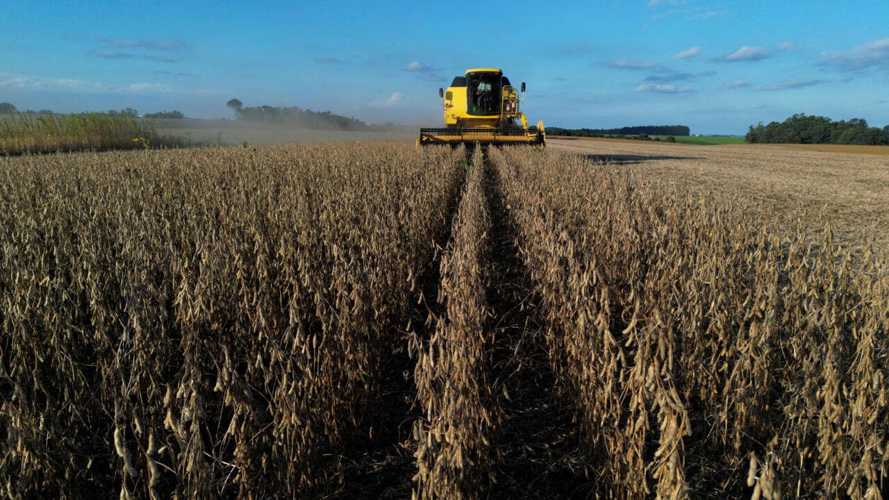 ¿Cómo impacta la guerra en Irán a los agricultores en Brasil?