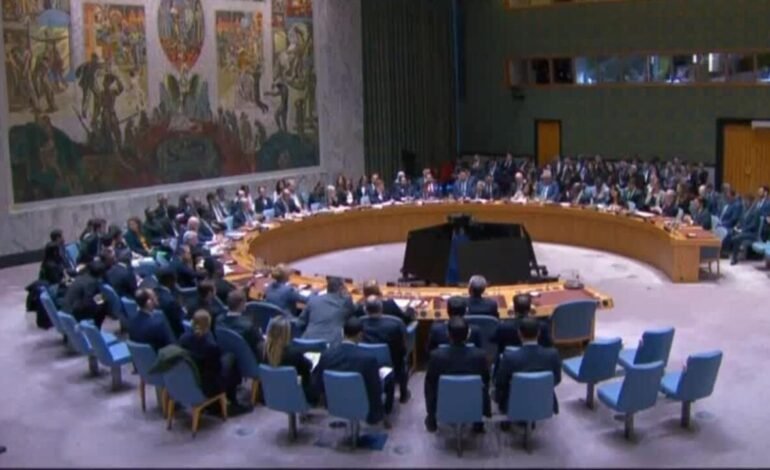 Críticas y desacuerdos en reunión de emergencia del Consejo de Seguridad de la ONU
