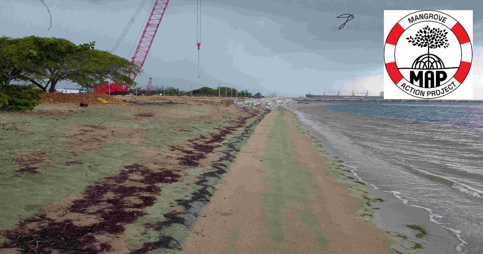 Denunciarán a nivel internacional planta de Manzanillo que Abinader inaugura mañana