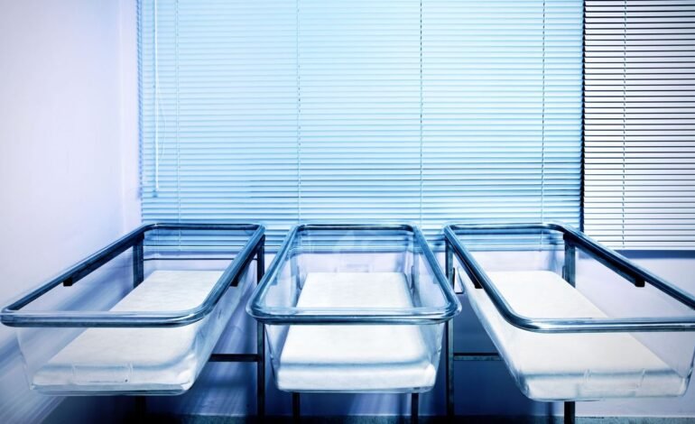 El alarmismo económico por las bajas tasas de natalidad podría estar equivocado