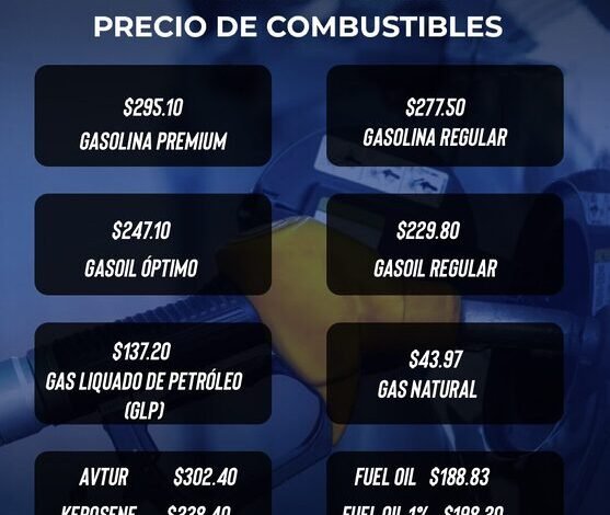 El Gobierno anuncia subsidios de RD$ 1,189.8 millones para frenar el impacto de la guerra de Medio Oriente en la República Dominicana
