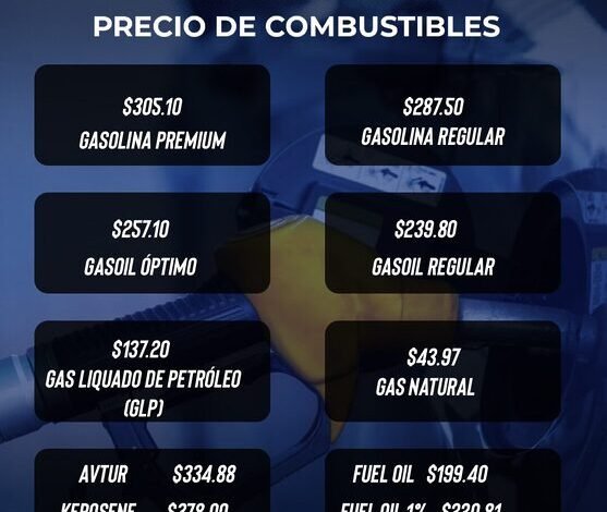 Gobierno dominicano protege la economía familiar con subsidio de RD$1,682 millones ante volatilidad internacional