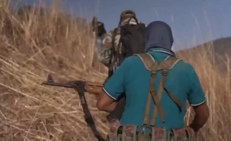 Grupos de autodefensa en México se organizan ante avance del narcotráfico