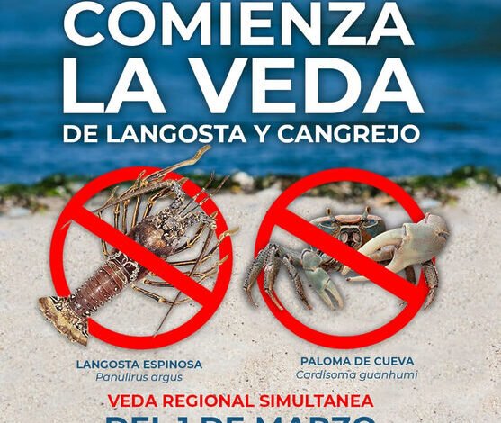 Inicia la veda de langostas y cangrejos en todo el país hasta el 30 de junio