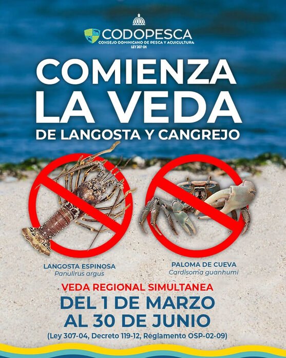 Inicia la veda de langostas y cangrejos en todo el país hasta el 30 de junio
