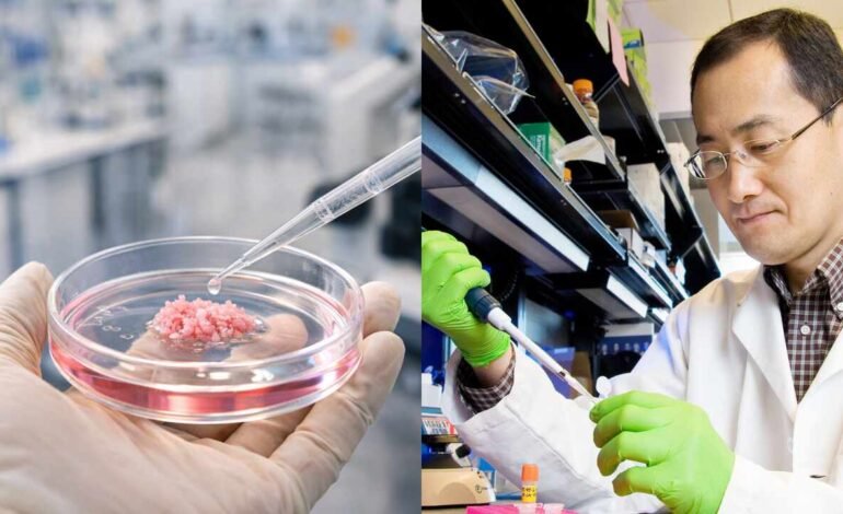 Japón aprueba el primer tratamiento con células madre para tratar el Parkinson