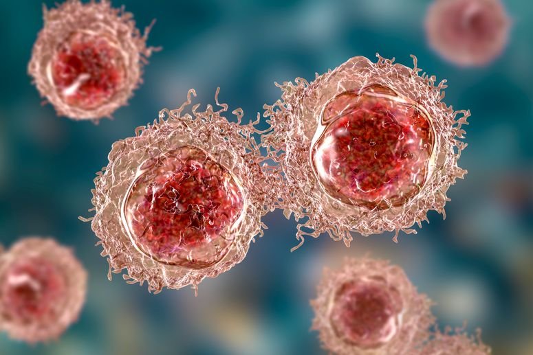 Las células tienen un “sexto sentido” que podría ser clave para evitar la expansión del cáncer