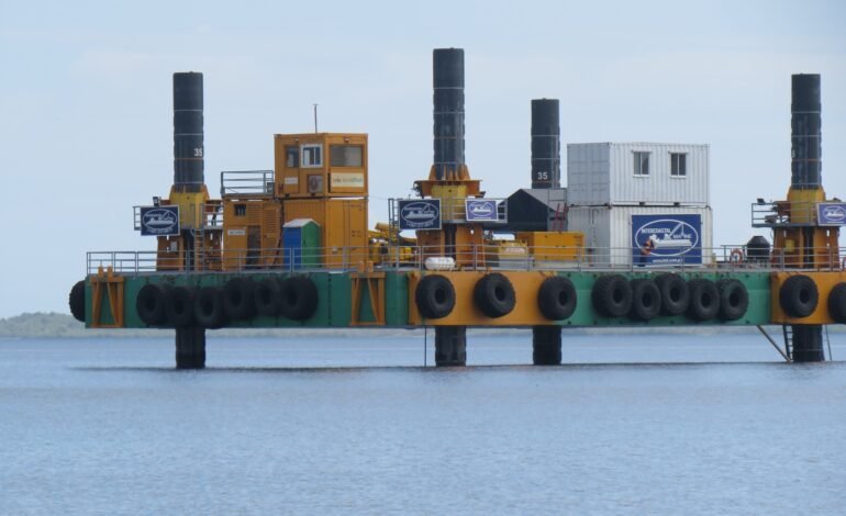 Mangrove Action Project alerta a Presidente Abinader sobre impacto acumulativo no resuelto de Proyecto   Energía 2000 en Manzanillo