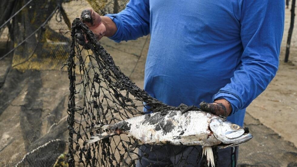 Más de 600 km contaminados: las claves del derrame de petróleo en el Golfo de México