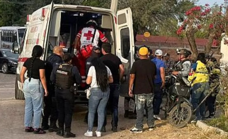 MEXICO: Once muertos deja operativo contra cártel Sinaloa