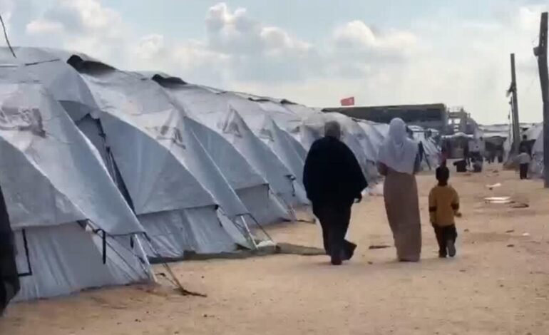 Mujeres en zonas de guerra: entre la vulnerabilidad y la resistencia