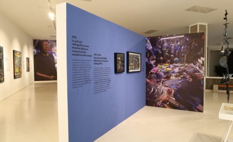 Museo de Arte Moderno de SD expone obra de martiniqués