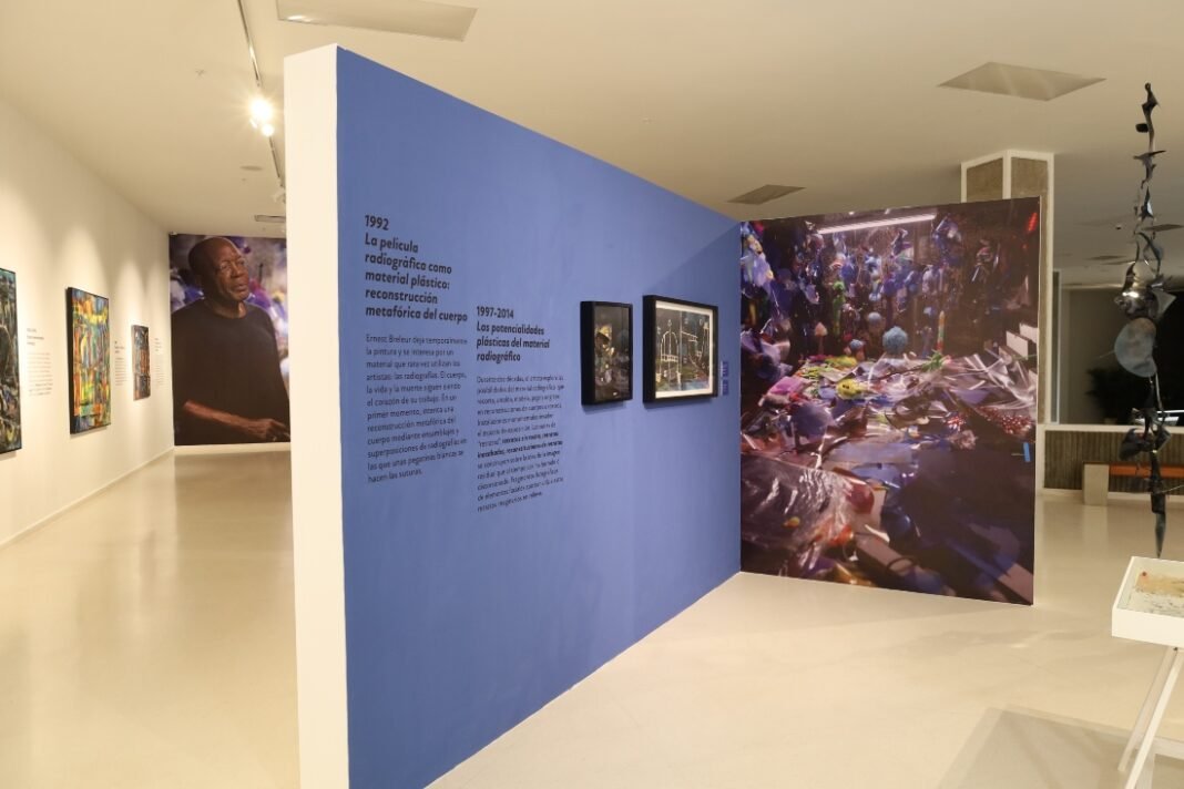 Museo de Arte Moderno de SD expone obra de martiniqués