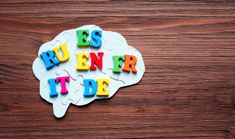 Para formar recuerdos, el cerebro necesita escuchar al intestino