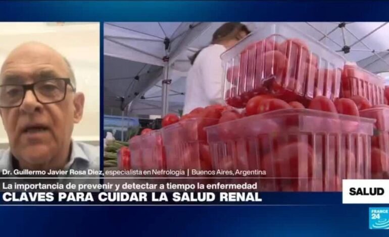 ¿Qué otras sustancias, además del sodio, pueden dañar la función de los riñones?