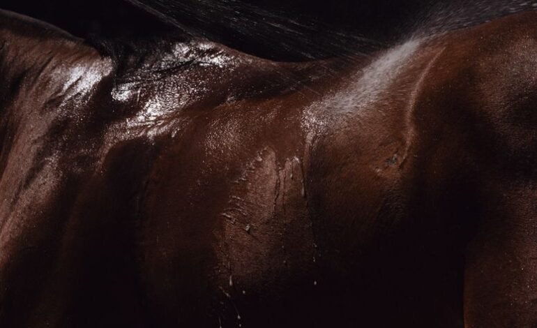 Resulta que no puedes clonar el mismo mamífero por siempre, según estudio