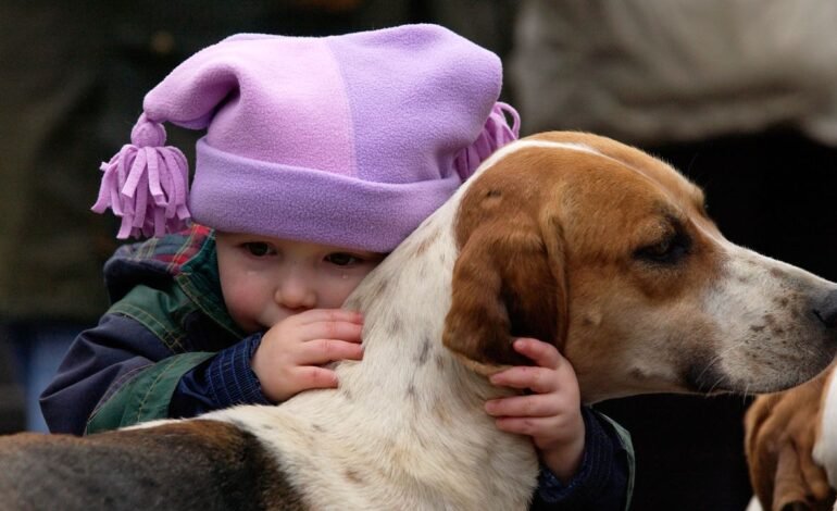 Tu mascota tiene derechos: el PetTech o la nueva era del cuidado animal ha llegado a Hispanoamérica
