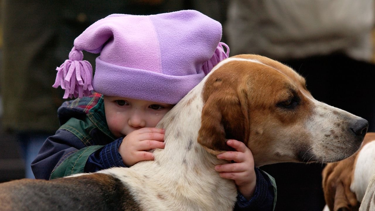 Tu mascota tiene derechos: el PetTech o la nueva era del cuidado animal ha llegado a Hispanoamérica