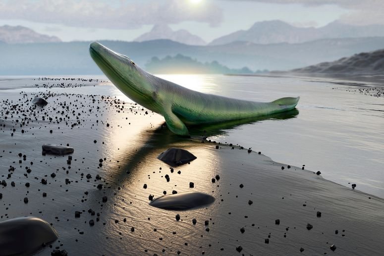 Un pequeño dinosaurio argentino parecido a un ave es la “Piedra Rosetta” para entender a los terópodos más misteriosos