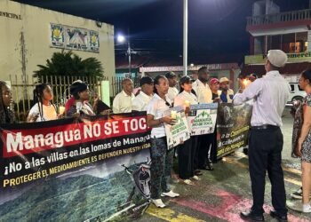 Centinelas del Este piden al presidente intervenir por devastación en la Loma de Managúa