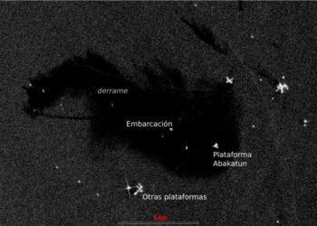 Derrame en el Golfo de México: ¿el Gobierno lo ocultó durante semanas?