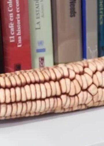 El maíz indígena en México frente a la globalización: tradición y supervivencia