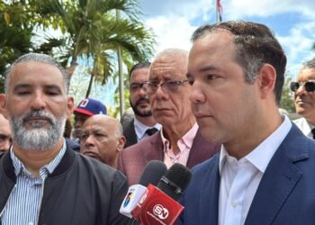 El PLD dice respeta decisión candidaturas independientes