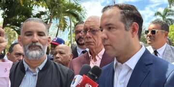 El PLD dice respeta decisión candidaturas independientes