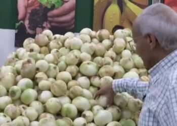 Venezuela: salarios estancados, dólar al alza y dependencia de remesas