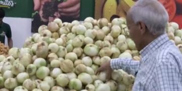 Venezuela: salarios estancados, dólar al alza y dependencia de remesas